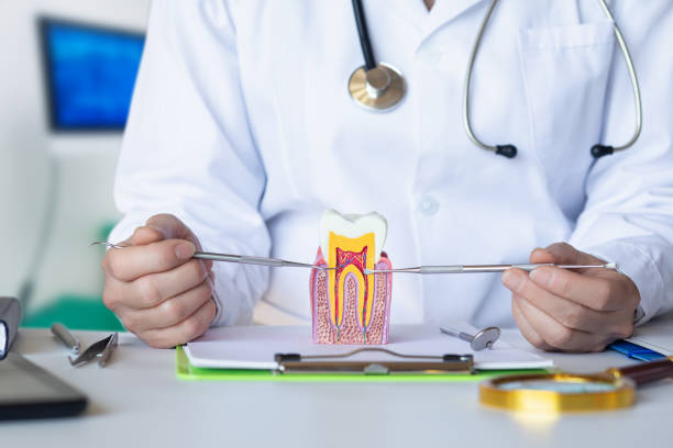 Best Emergency Gum Treatment in Paramount Long Meadow, MD